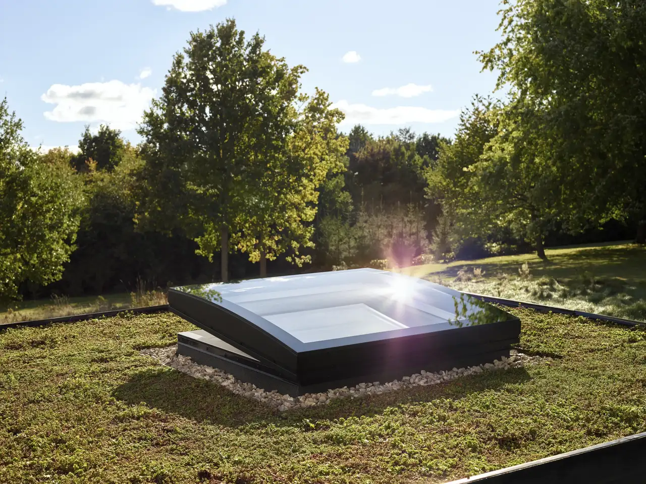 Tetto verde con finestre per tetti piani VELUX con vetro curvo aperta per ventilare gli ambienti interni