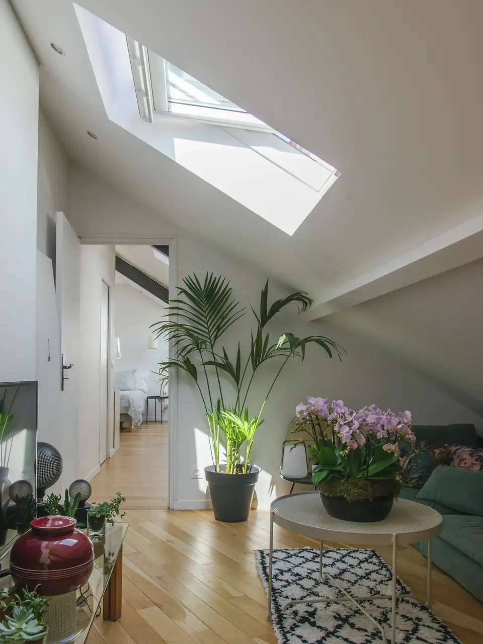 Een binnenruimte onder een schuin plafond met een dakraam. De kamer heeft een houten vloer en is ingericht met planten, waaronder een grote in een zwarte pot en kleinere in kleurrijke potten. Op de vloer ligt ook een vloerkleed met patroon.