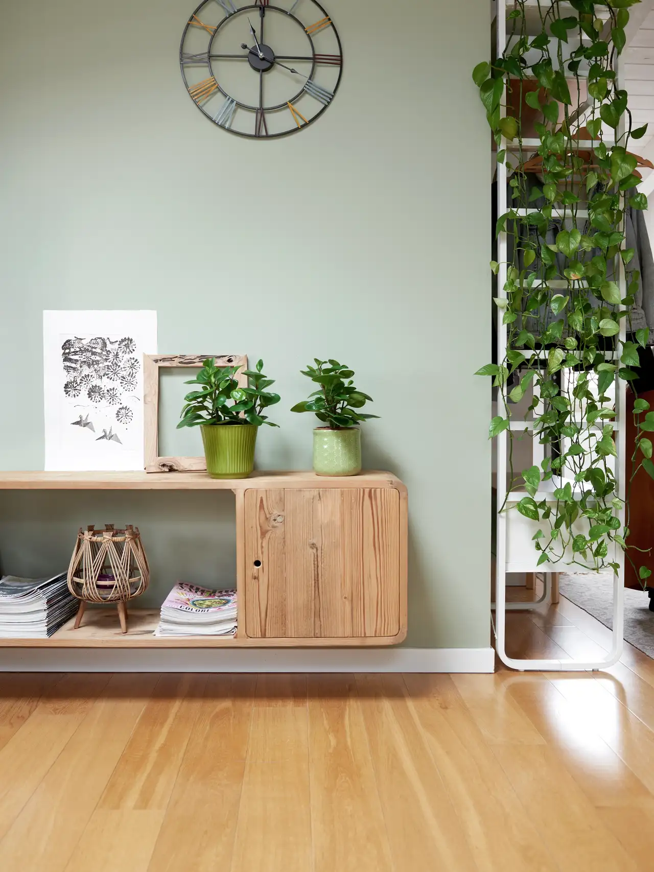 Un soggiorno arredato con mobili e accessori minimal tra cui due piante in vaso e un’edera che scende da un mobile alto. 
