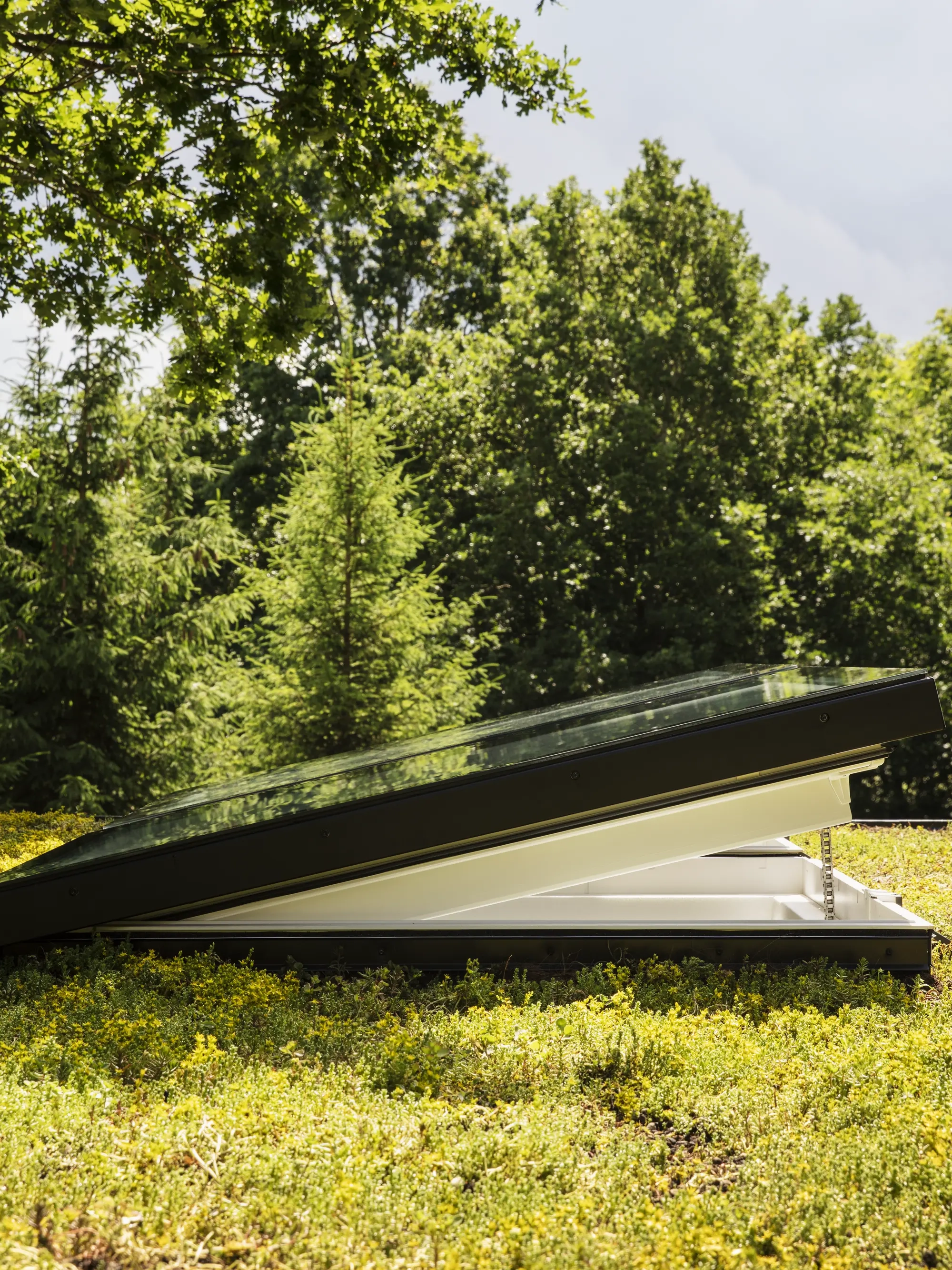 Finestra per tetti piani VELUX su un tetto verde, aperta per ventilare.