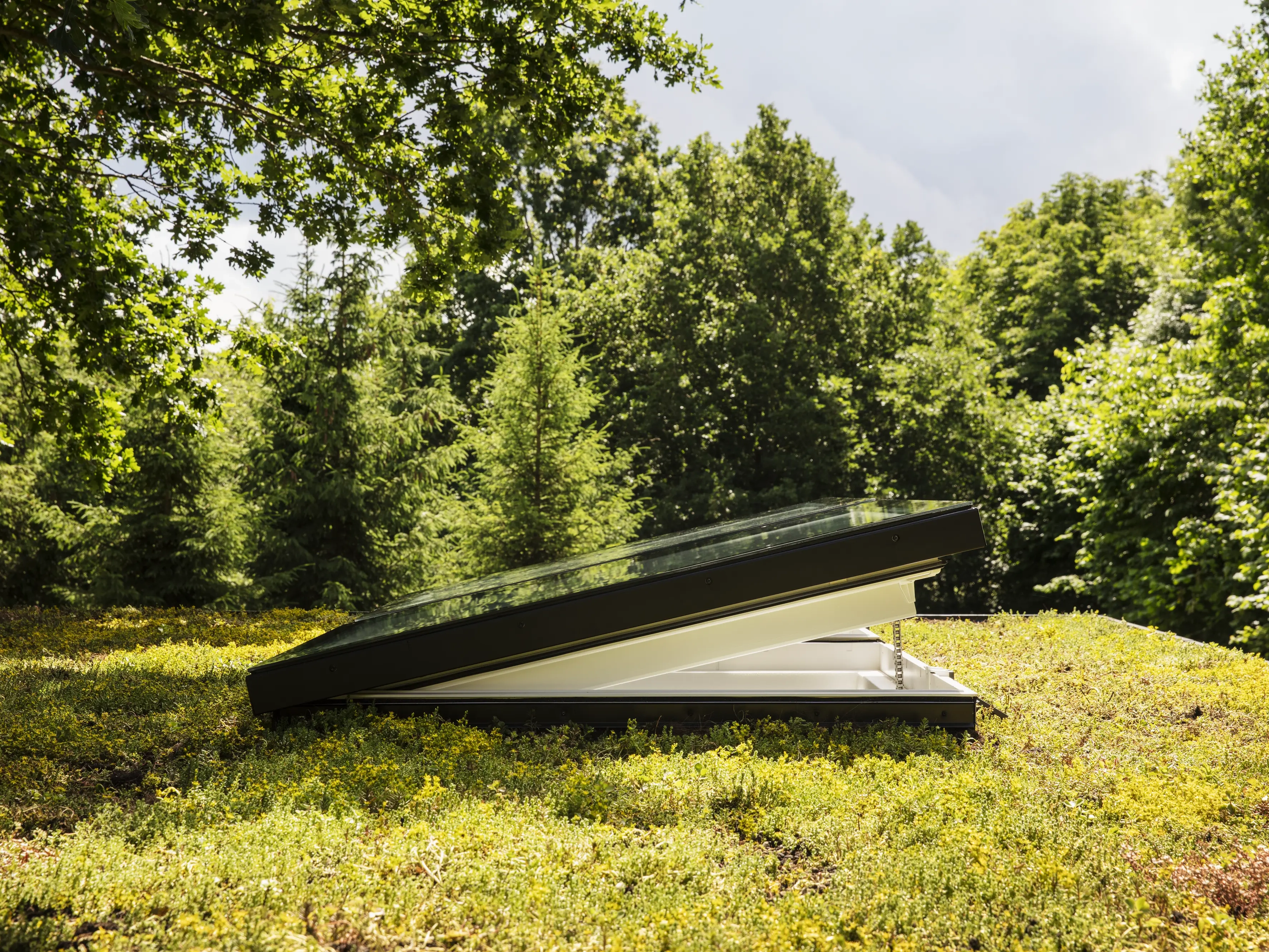 Finestra per tetti piani VELUX su un tetto verde, aperta per ventilare. 