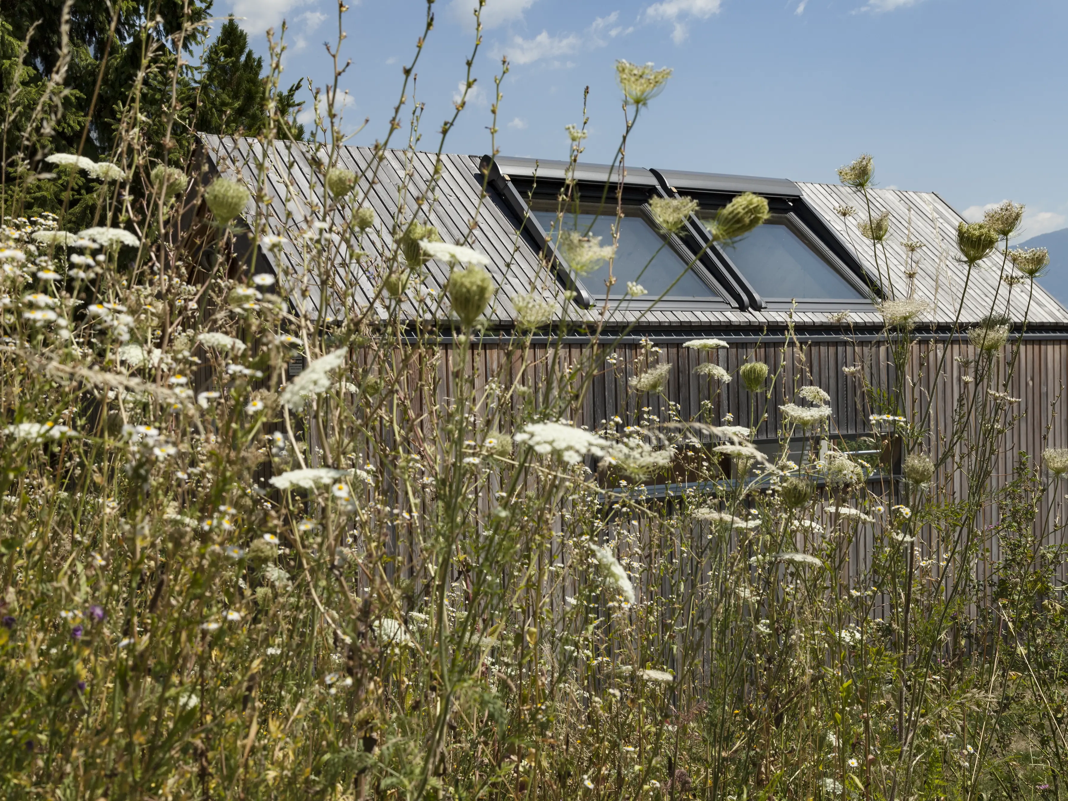 Il Gruppo VELUX premiato con la medaglia Platinum da EcoVadis