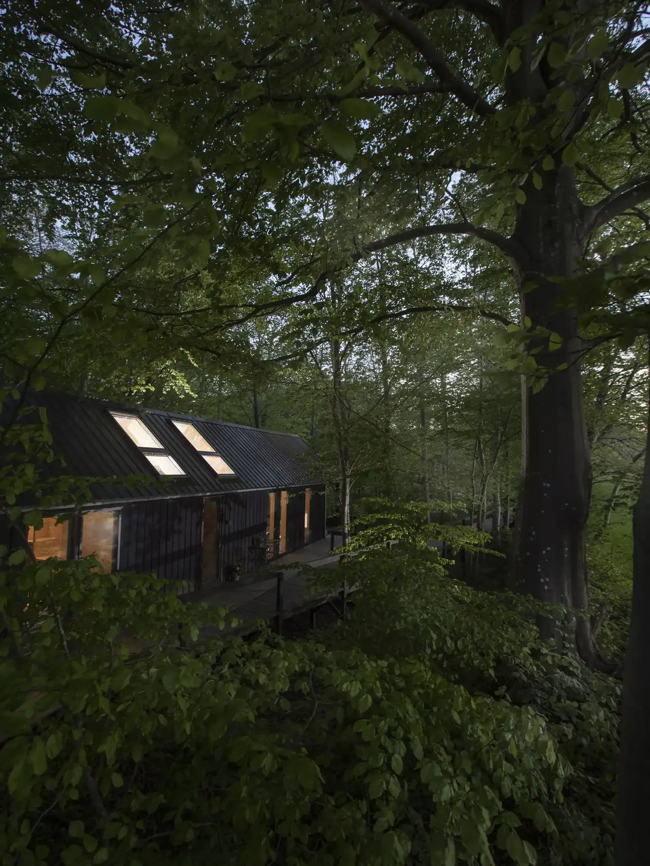 Moderne Hütte mit VELUX Dachflächenfenstern in einer dichten Waldlandschaft