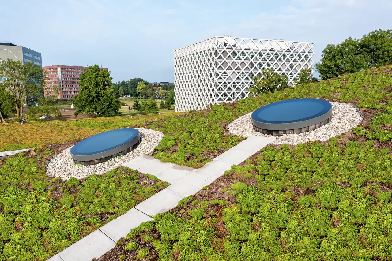 Une image floue montrant un espace vert avec de la végétation et deux structures rondes, probablement des puits de lumière ou des installations. Un chemin mène vers les structures rondes. En arrière-plan, il semble y avoir un bâtiment avec une façade géométrique unique.