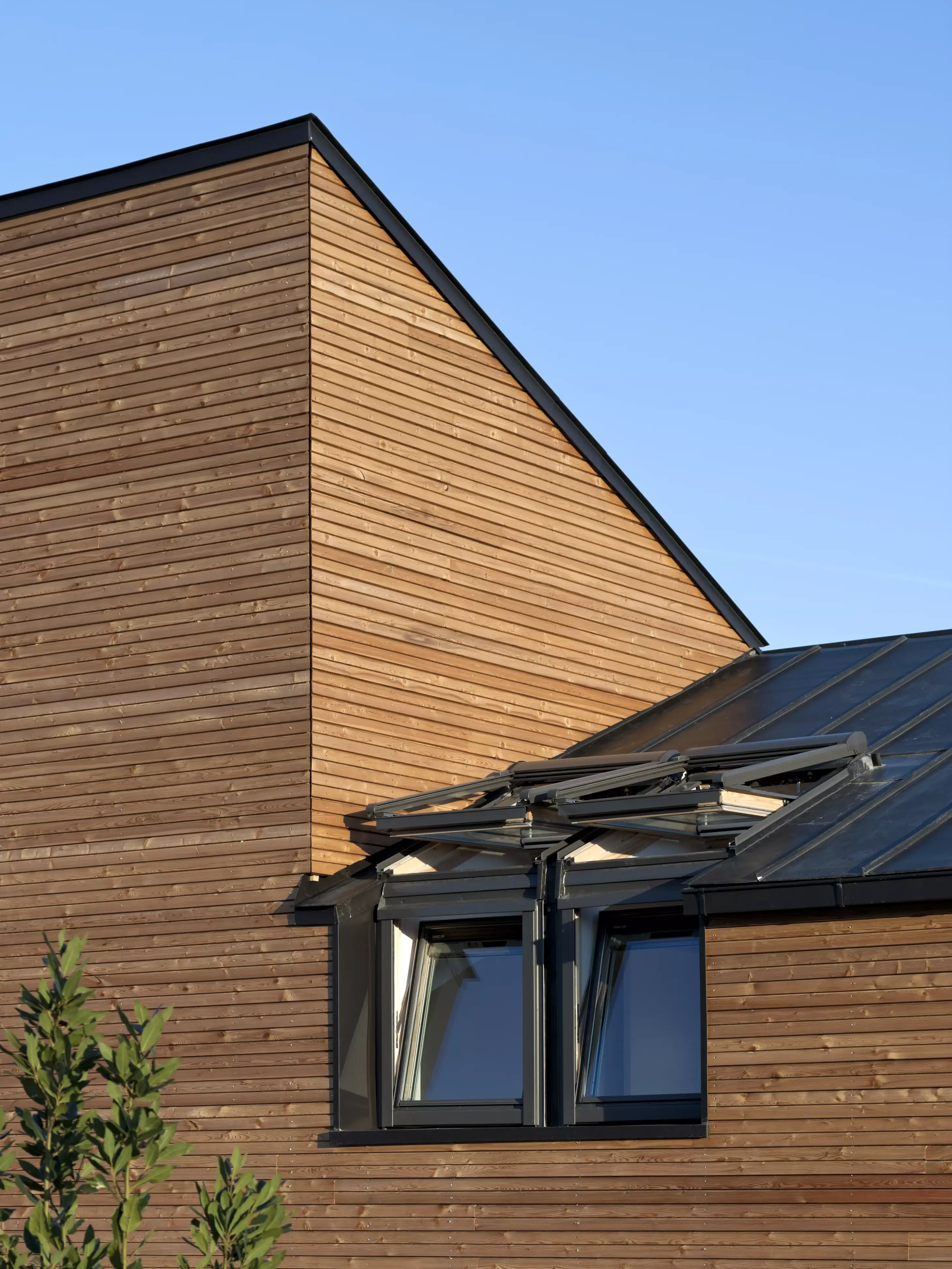 Façade moderne en bois d'une maison individuelle avec une fenêtre de toit VELUX.