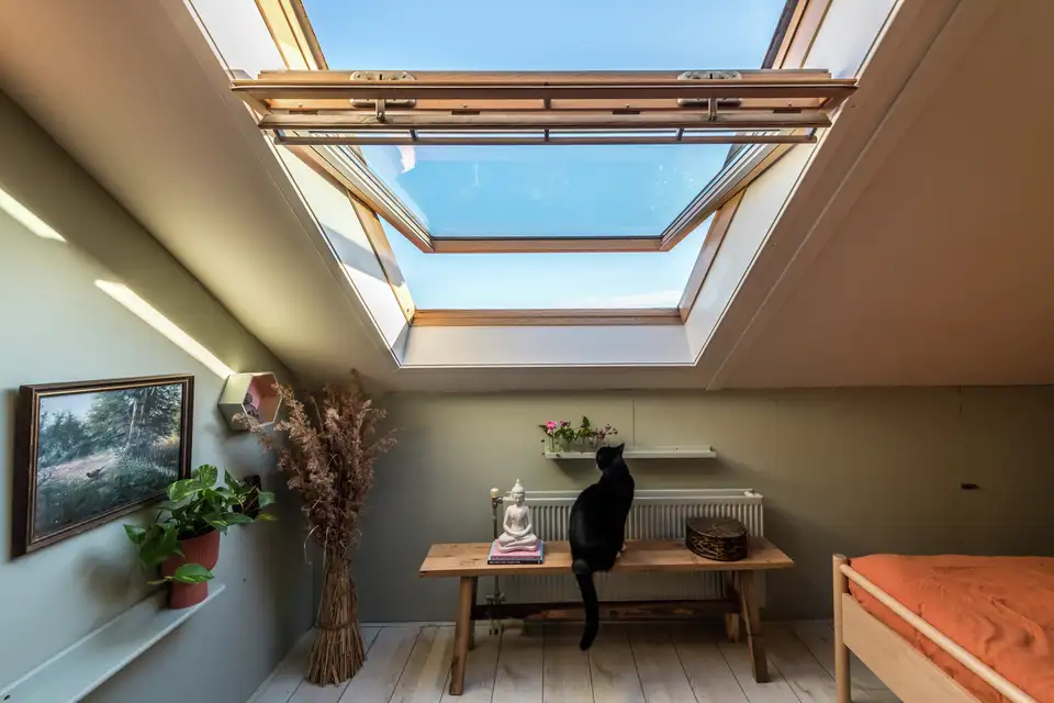 Chat sous fenêtre de toit VELUX ouverte.