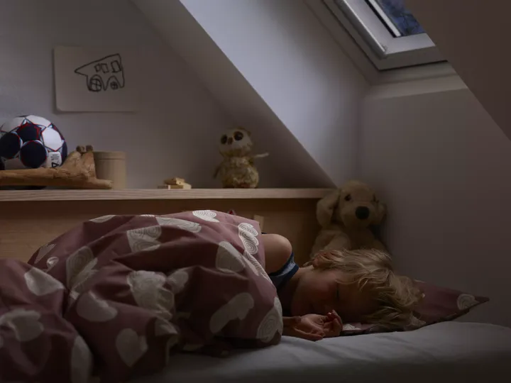 Kind schläft im Dachboden-Schlafzimmer mit VELUX Dachflächenfenster und Stofftieren.