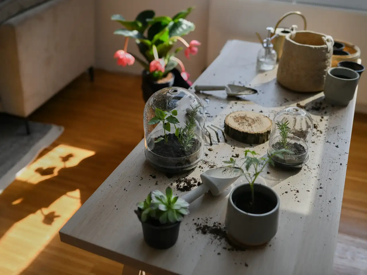 Tavolo da lavoro con piante e terriccio e giardino in bottiglia finito | Rivista VELUX