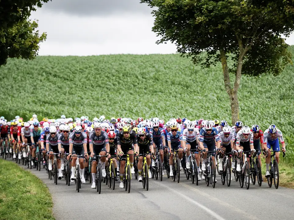 Kolesarji drvijo po podeželski cesti, obkroženi z zelenimi polji, med Tour de France.
