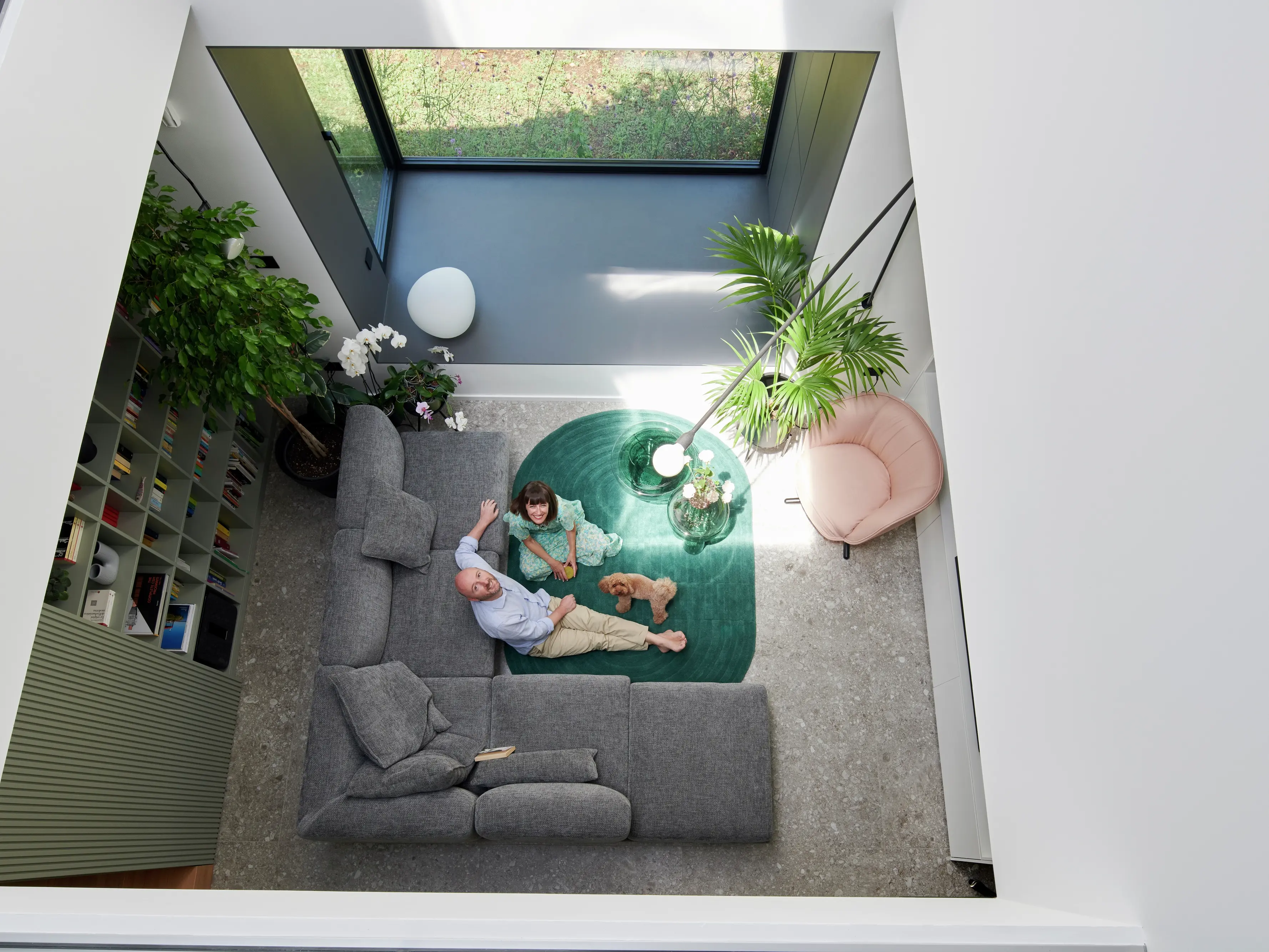Salon moderne avec lumière naturelle provenant d'une fenêtre de toit VELUX, tapis vert et plantes.