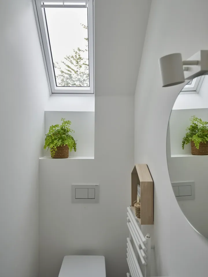 Dachfenster über Toilettenspülung und Zierpflanze | VELUX Magazin