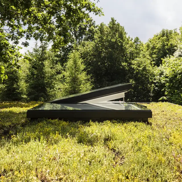 Flat roof window