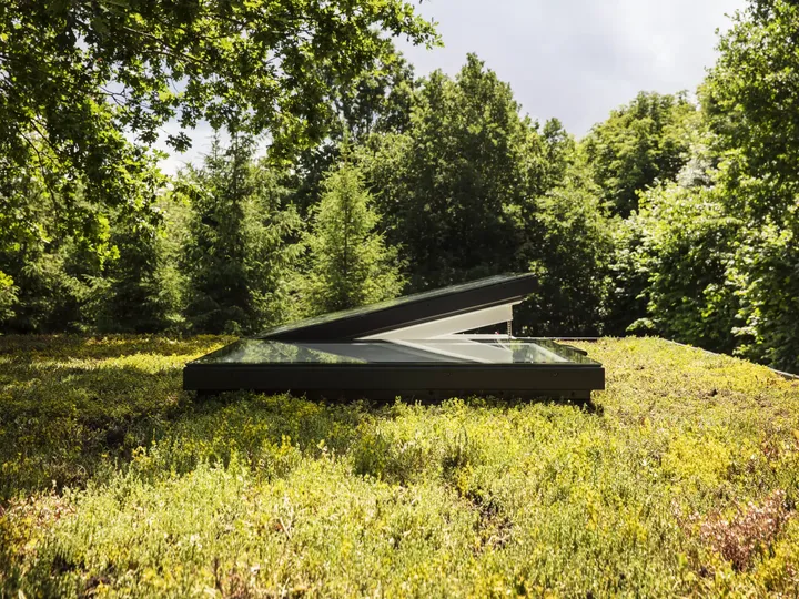 Öffnen Sie ein VELUX Dachflächenfenster auf einem lebendig grünen Dachgarten, der Natur und Architektur verbindet.