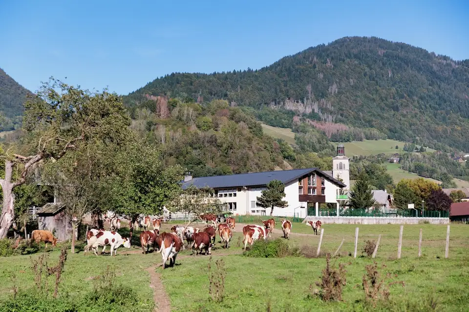 Un paysage rural pittoresque avec des vaches en pâturage, une église de village et une toile de fond de montagnes verdoyantes.