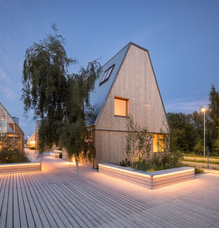 Přírodní stavební materiály: Zdravý domov a udržitelná budoucnost