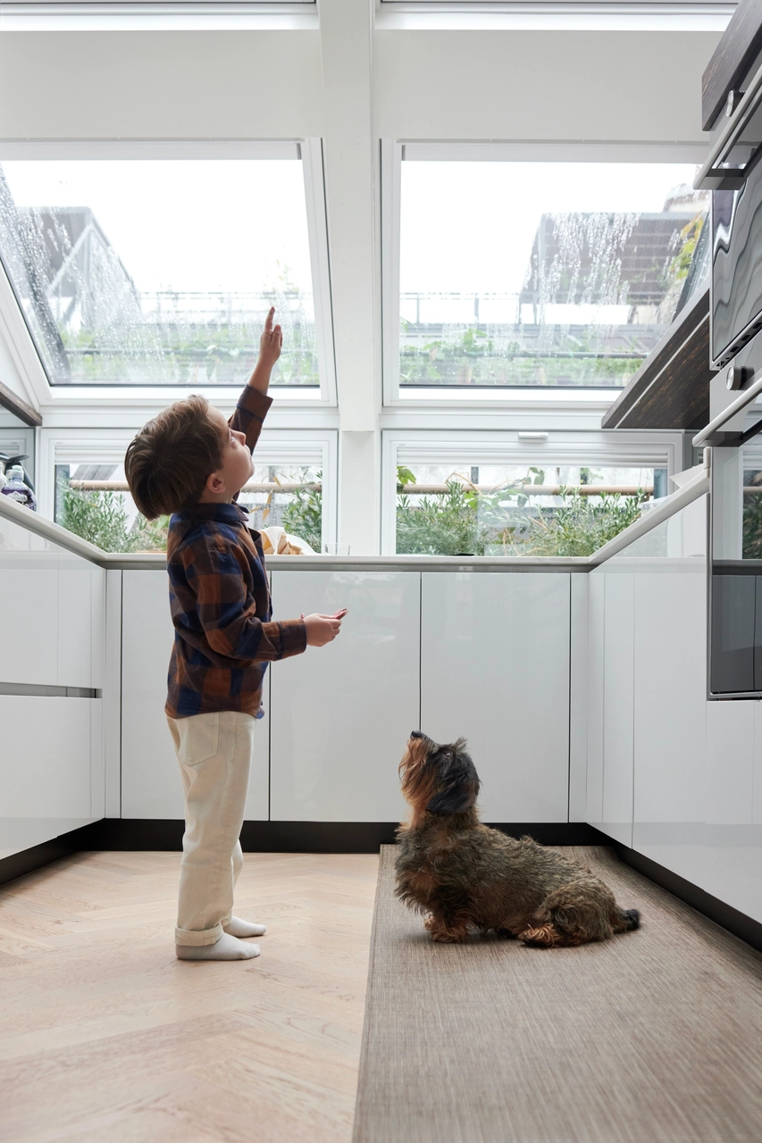 Un attico in cui la luce naturale unisce verde e design 