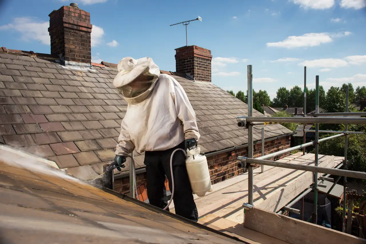 Mensch in Imkerkleidung sprüht etwas aufs Dach | VELUX Magazin