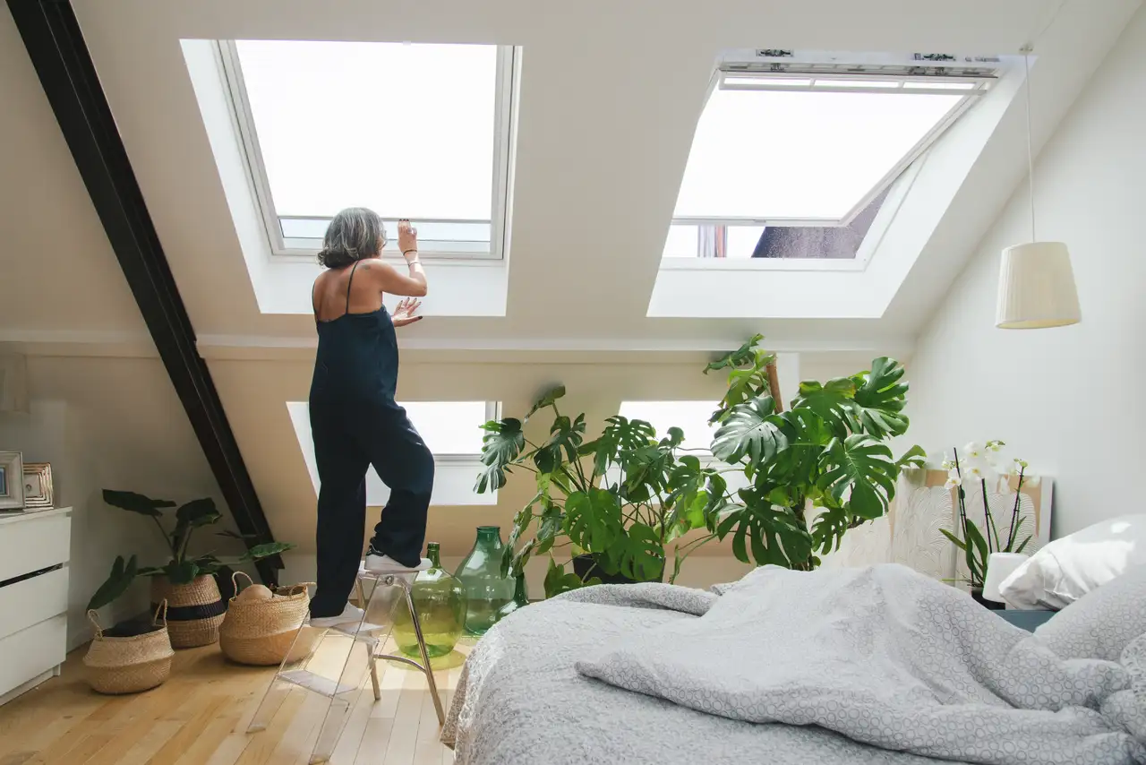 Due finestre per tetti con tende per filtrare la luce illuminano una stanza da letto con più piante da appartamento.