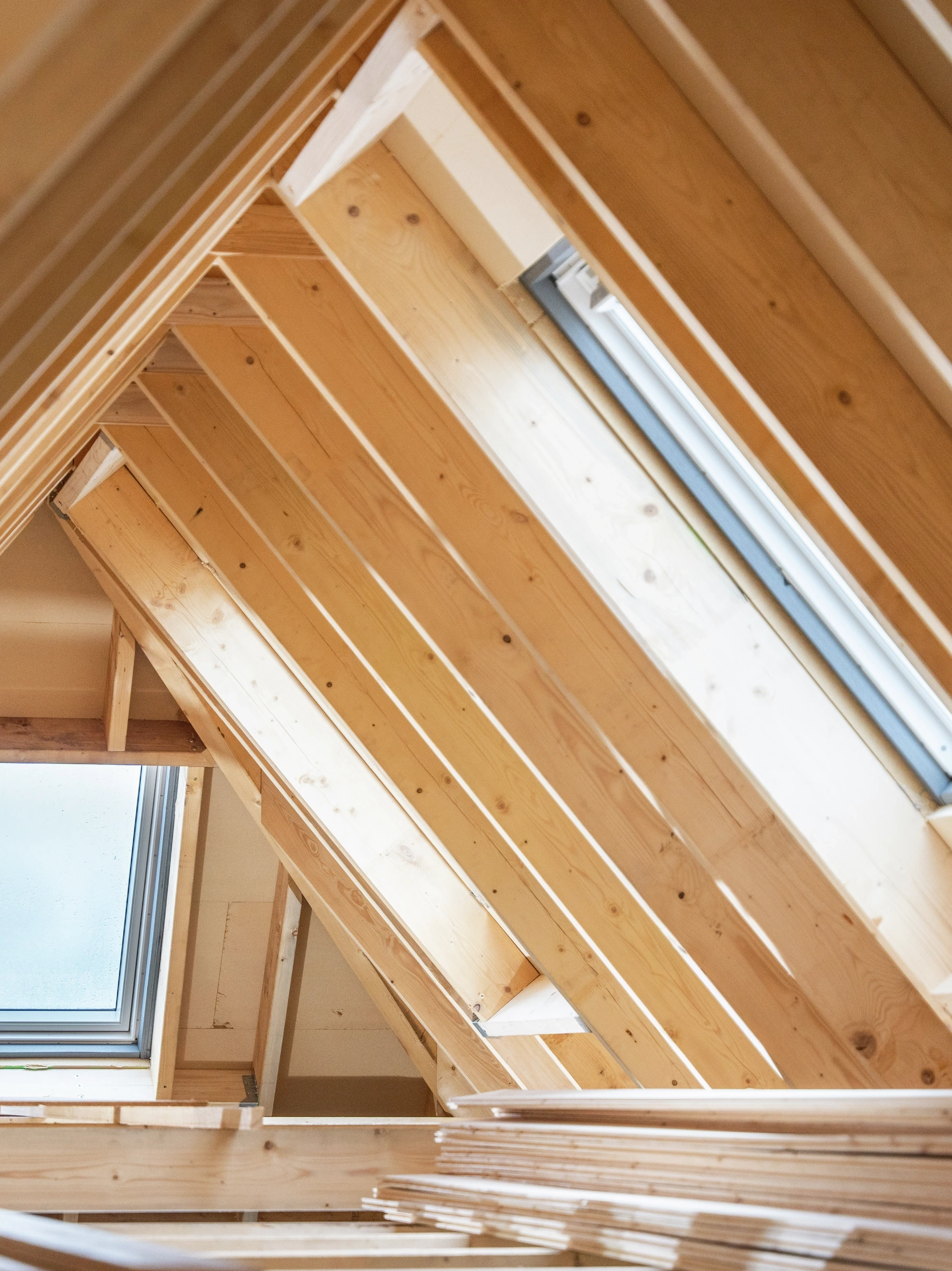 Tarli del legno: come riconoscerli ed eliminarli