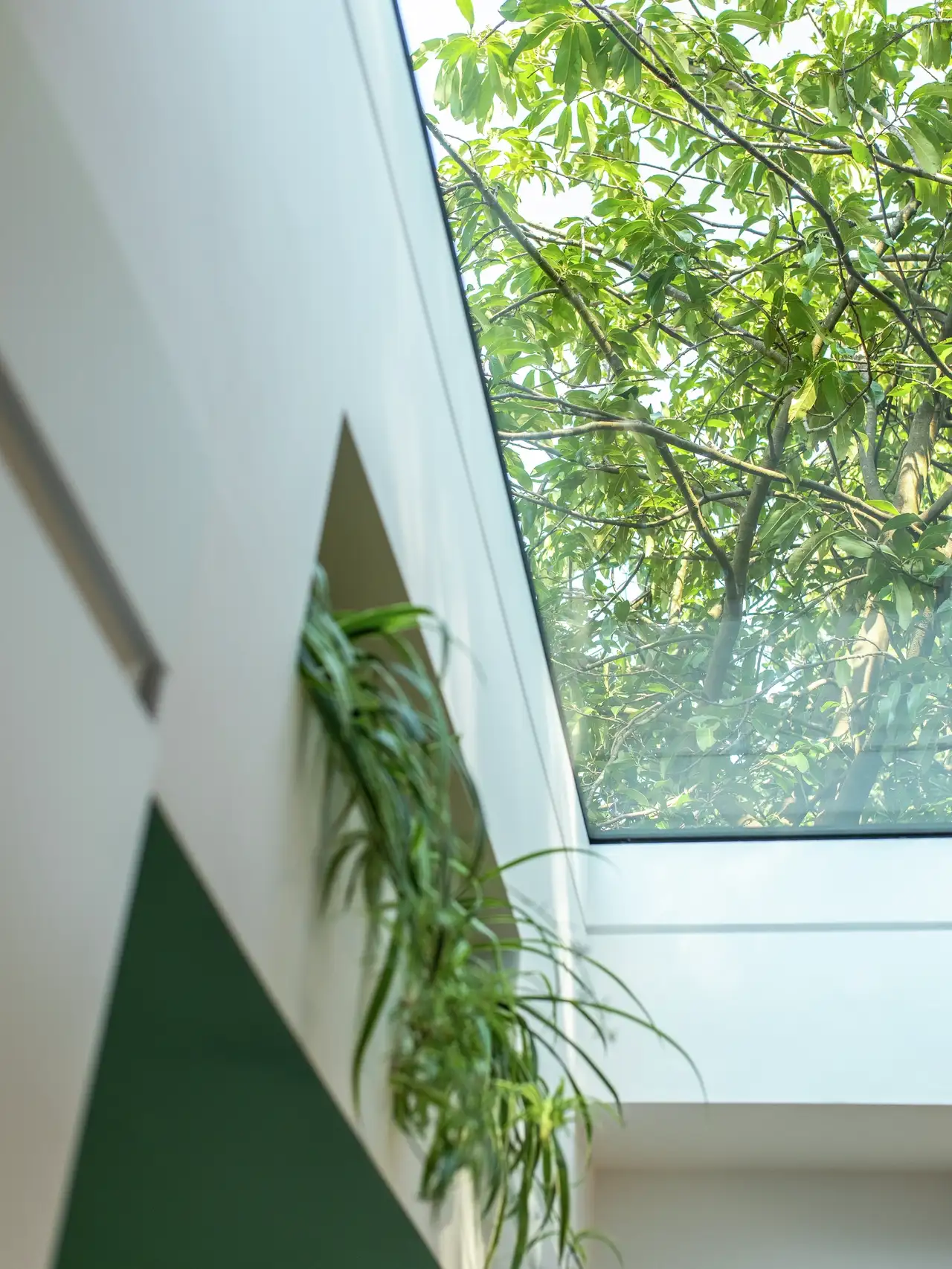 Een raam dat natuurlijk licht binnenlaat in een binnenruimte, met groene bladeren van een buitenboom zichtbaar door het glas. Een deel van een witte muur en een groene driehoekige vorm, mogelijk een deel van een kamerplant of decoratief element, zijn ook zichtbaar.
