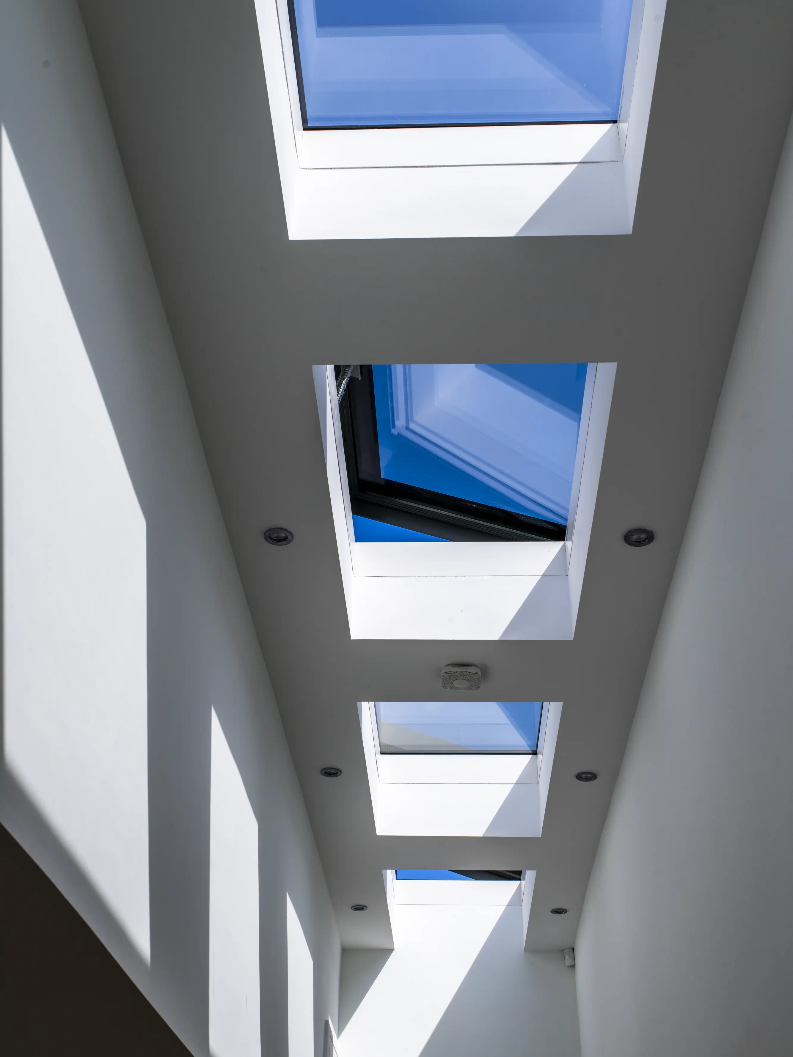 Management | VELUX