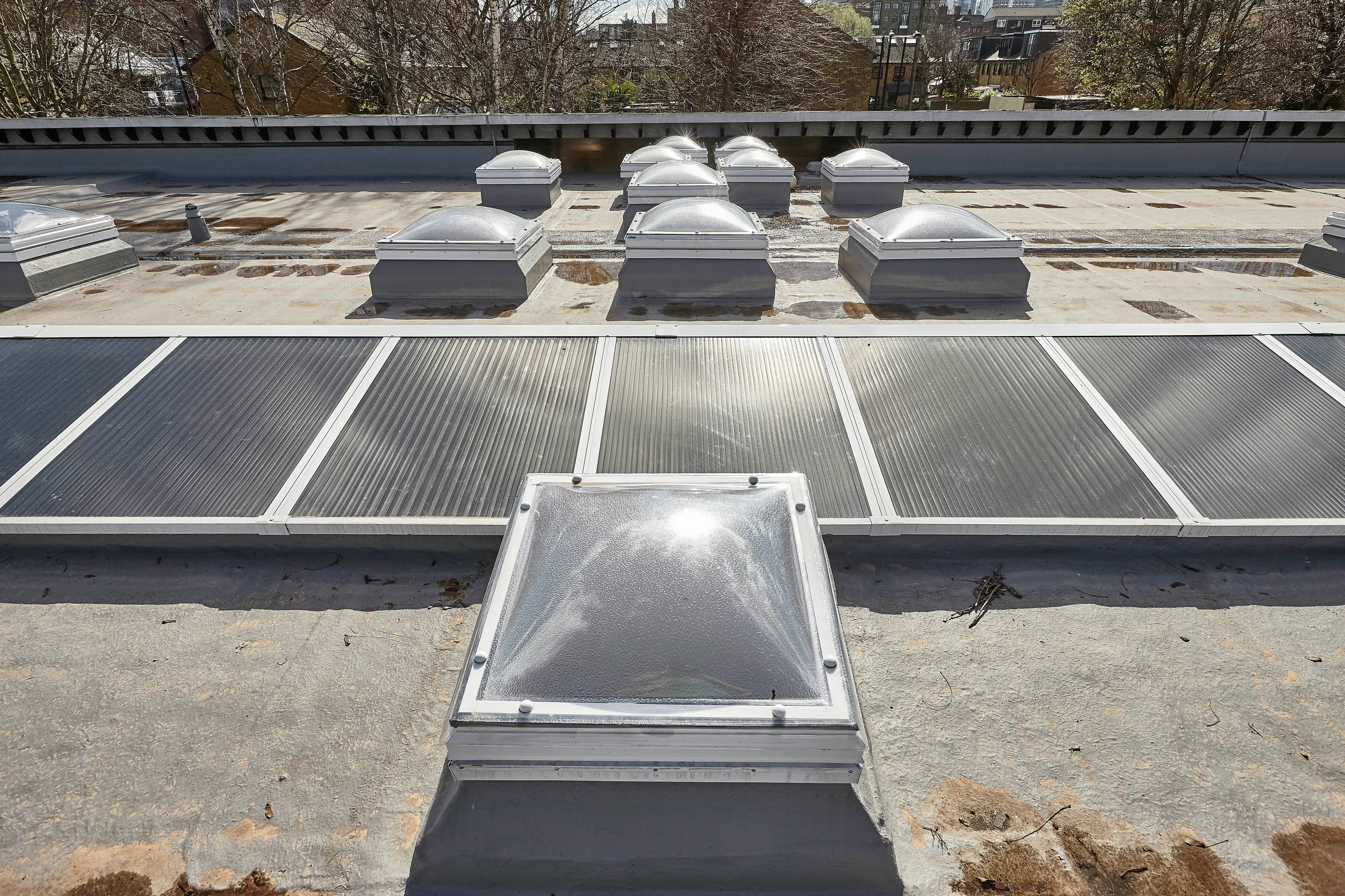 Thomas Buxton Primary School