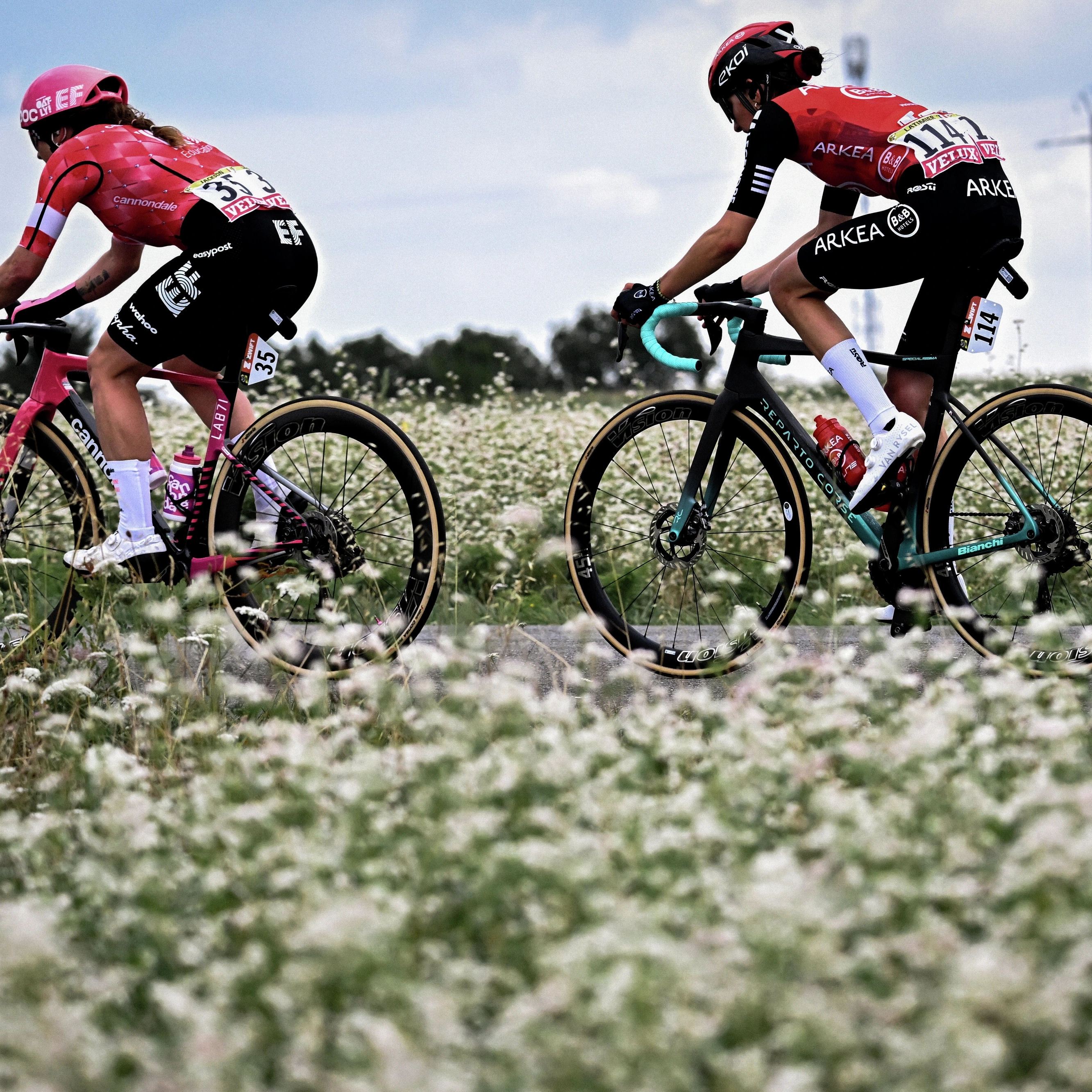 VELUX prolonge son partenariat avec le Tour de France et le Tour de France Femmes avec Zwift 2026
