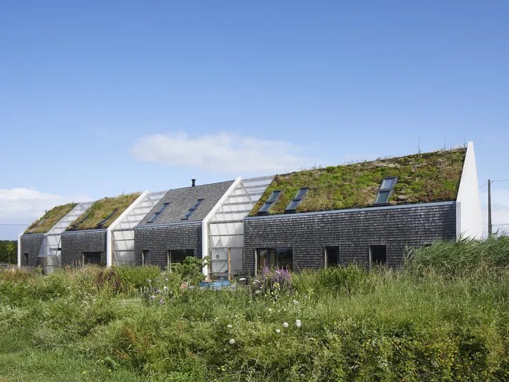 Schieferhäuser im Grünen mit extensiver Dachbegrünung aus Moos und Wildpflanzen | VELUX Magazin