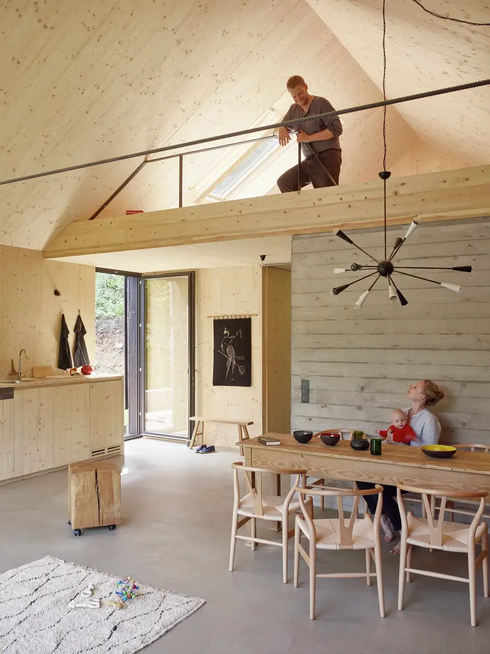 Moderne sommerhus med mørke træpaneler