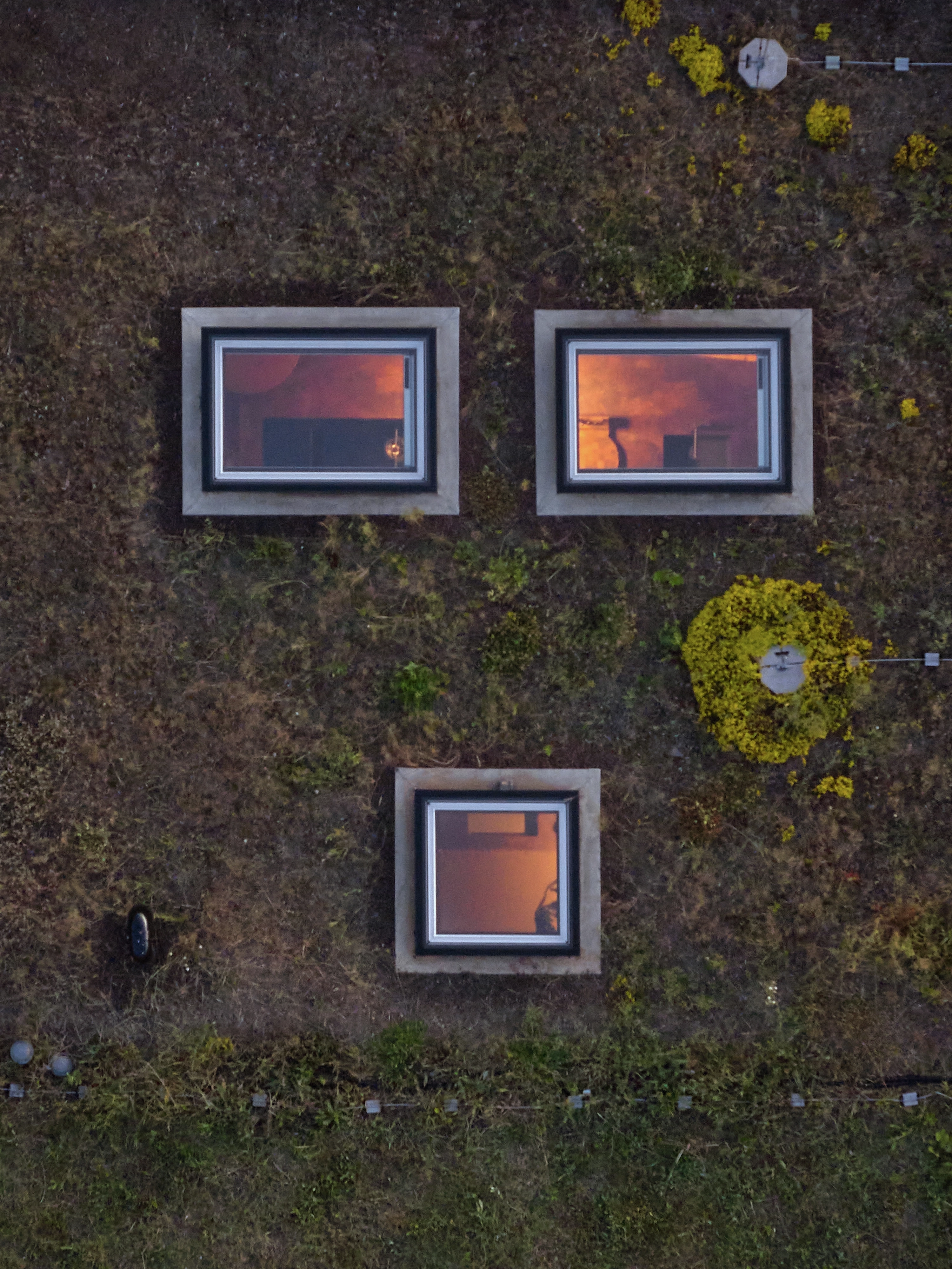 Green flat roof with three glowing VELUX flat roof windows at dusk