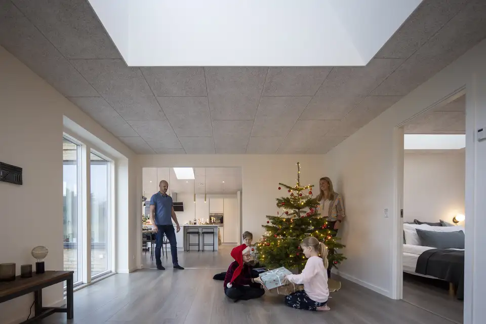 Soggiorno in stile minimalista con finestra per tetti piani VELUX con un grande albero di Natale addobbato