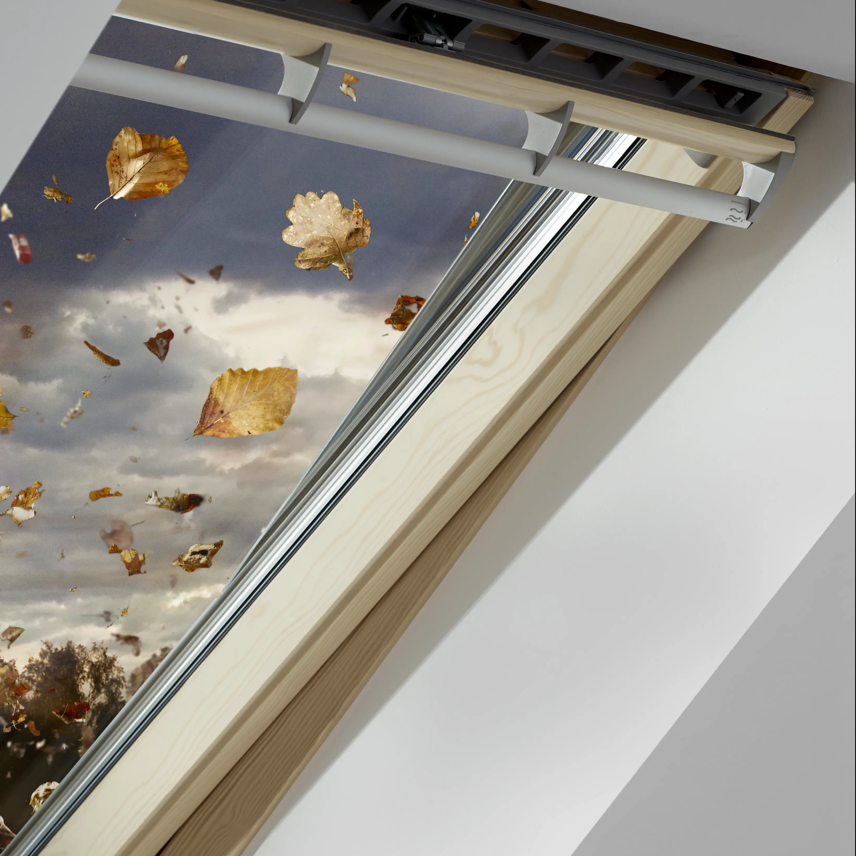 VELUX roof window with autumn leaves outside, wooden frame visible.