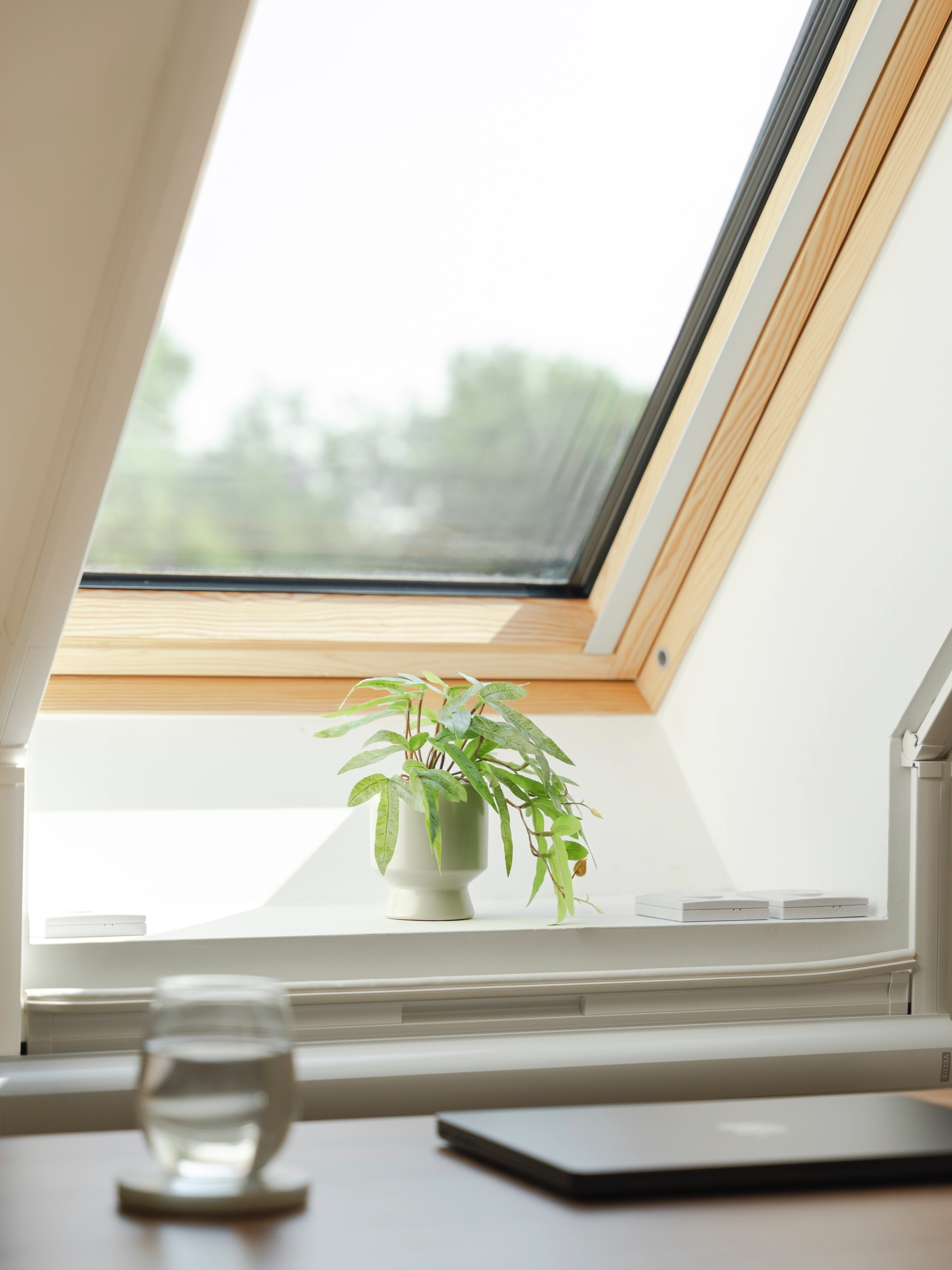 Attic room with VELUX roof window, plant on windowsill, natural light.