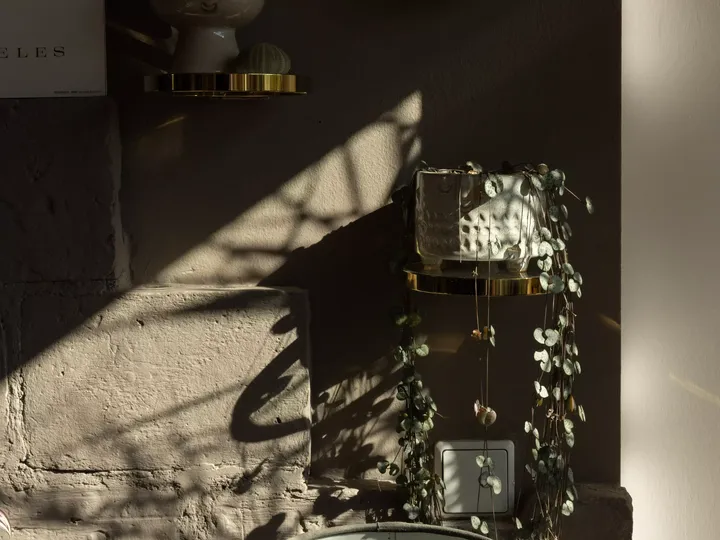 Sonnenlicht wirft Schatten auf eine Pflanze und Vase auf einem Messingregal in einer Raumecke.