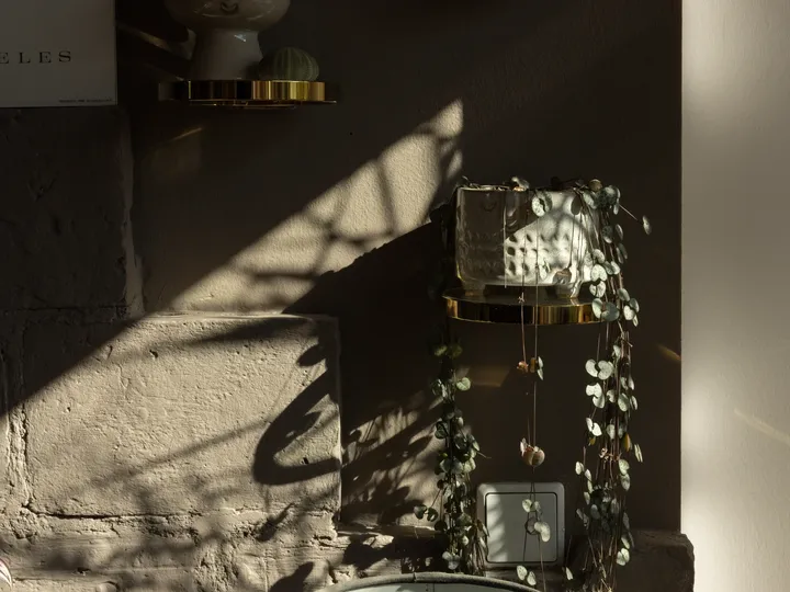 Stilvoller Blumentopf mit Rankenpflanze an Betonwand im Schatten-und Licht-Spiel | VELUX Magazin