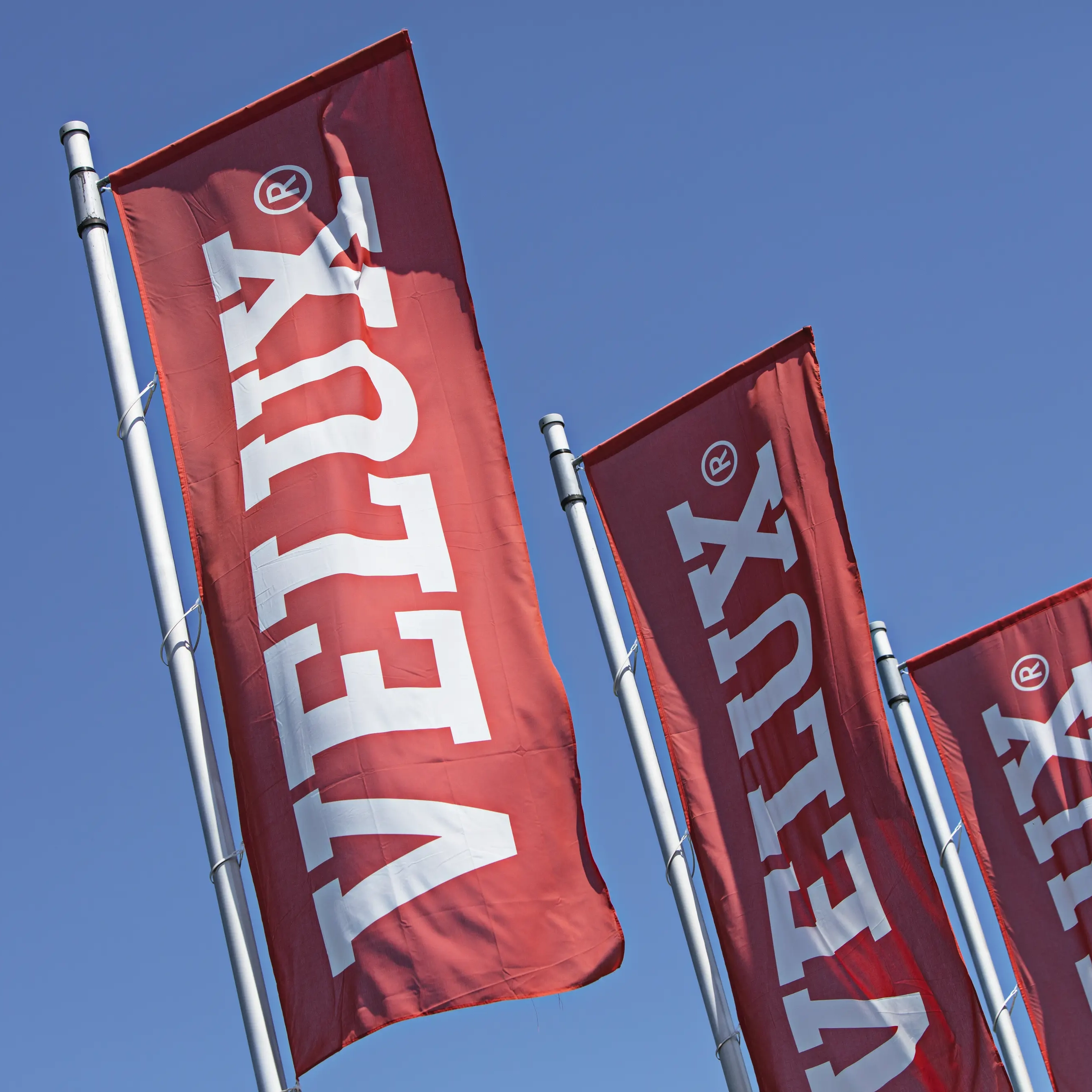VELUXlab compie 15 anni e guarda al futuro
