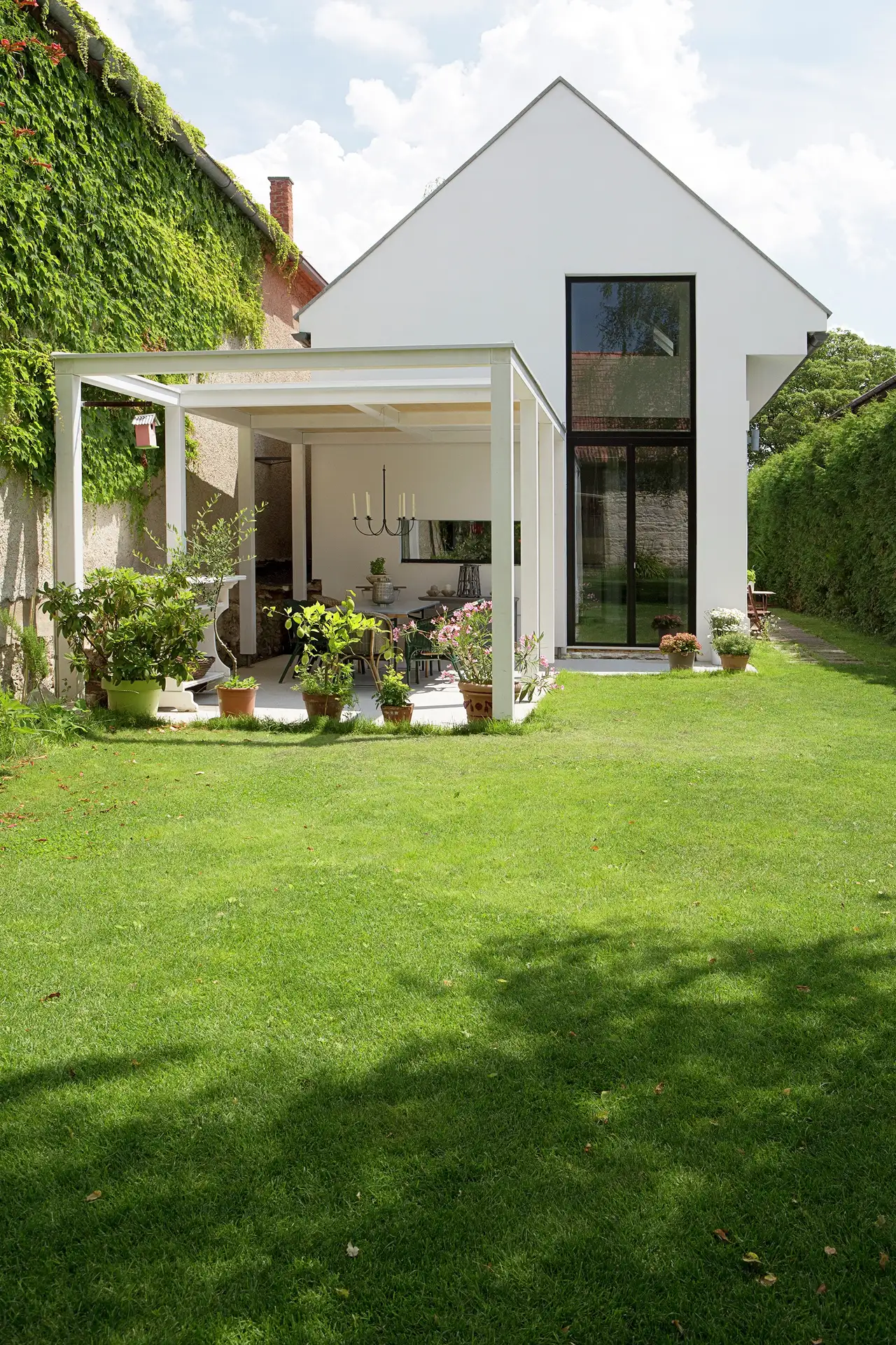Frontalansicht: Modernes Haus mit Garten neben Hauswand mit Fassadenbegrünung | VELUX Magazin