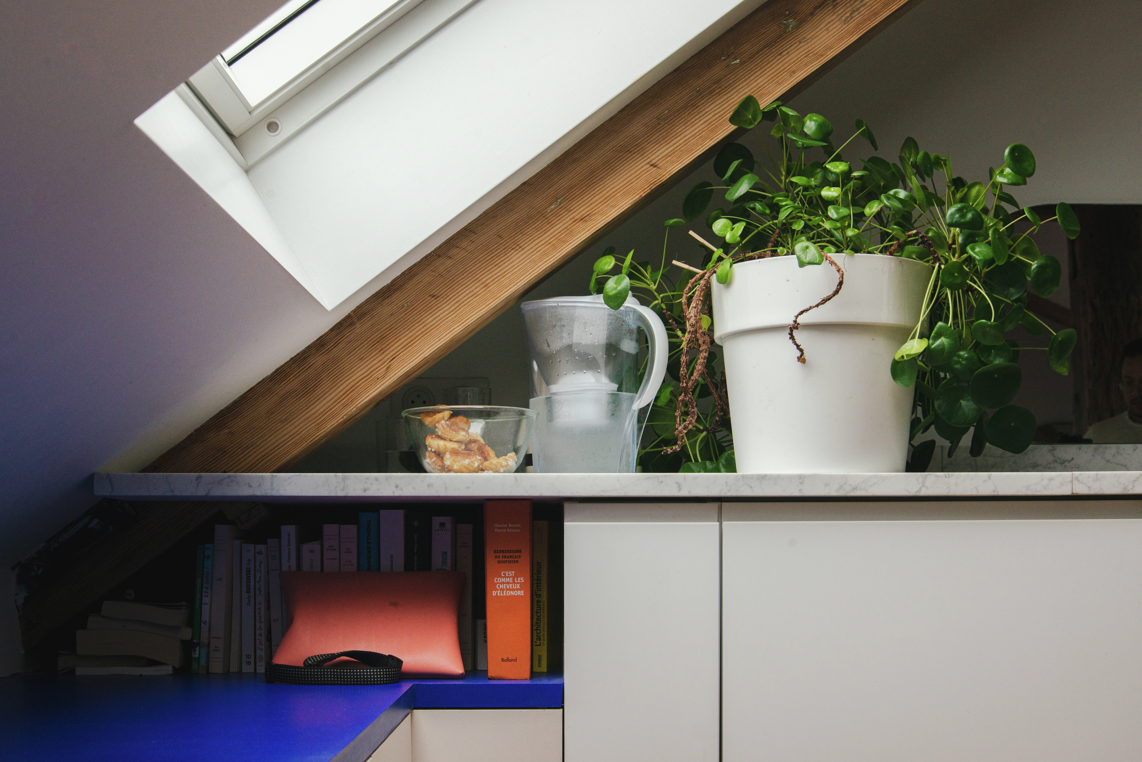 Bureau à domicile dans le comble avec fenêtre VELUX, livres et une plante en pot sur une étagère.