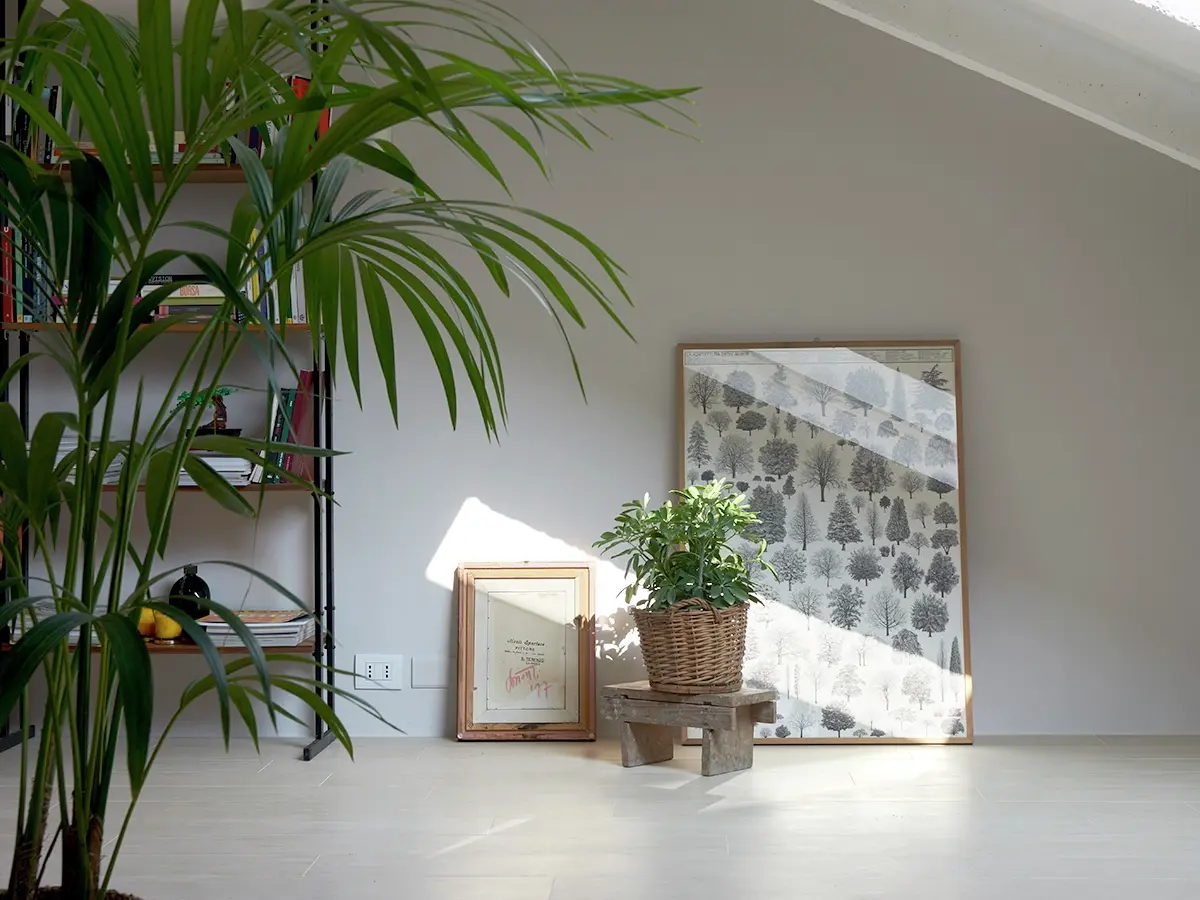 Studio d'arte in mansarda con finestra VELUX, piante e opere d'arte incorniciate.
