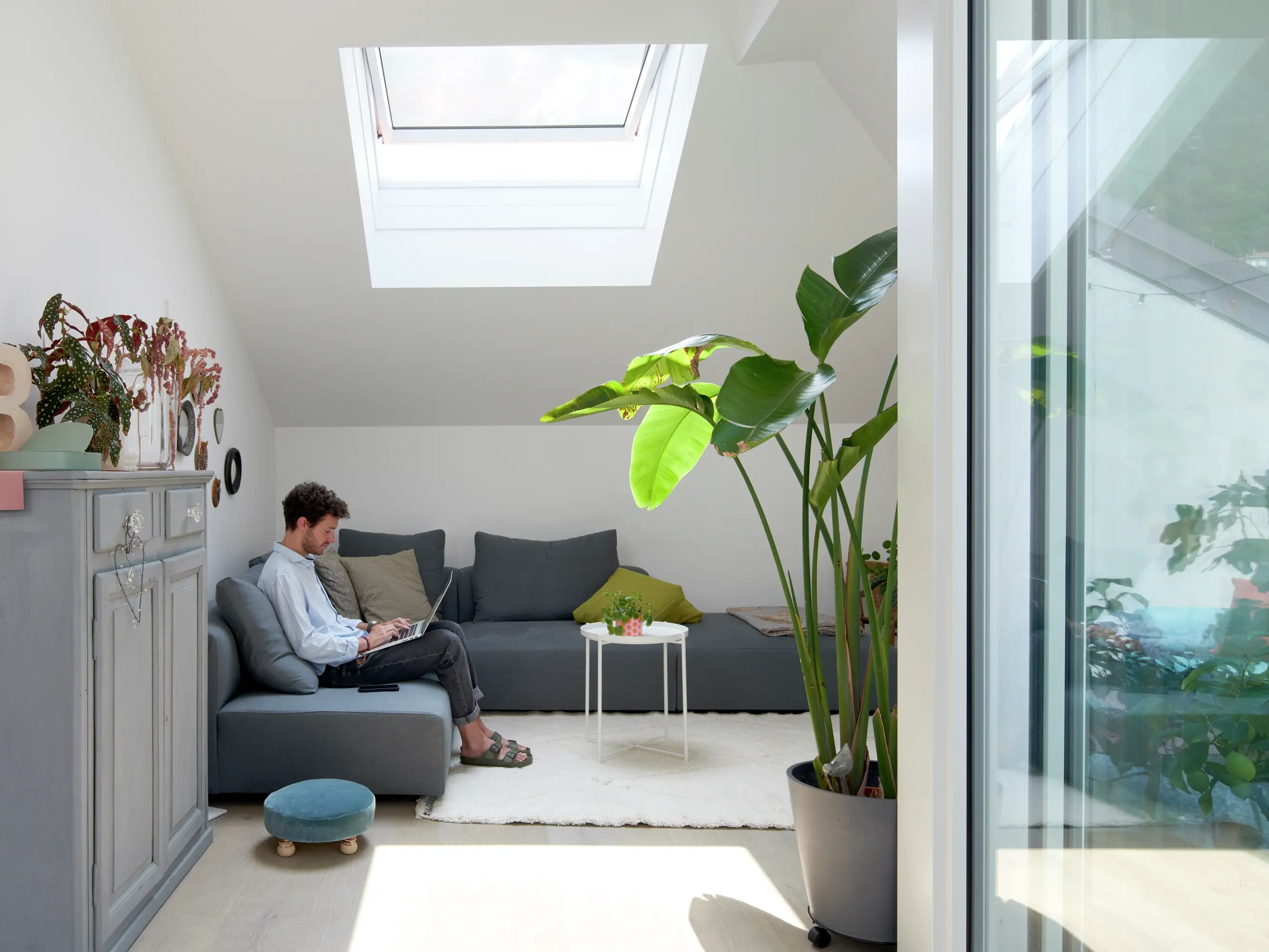 Salon de comble confortable avec fenêtre de toit VELUX, canapé gris, plantes vertes et lumière naturelle.