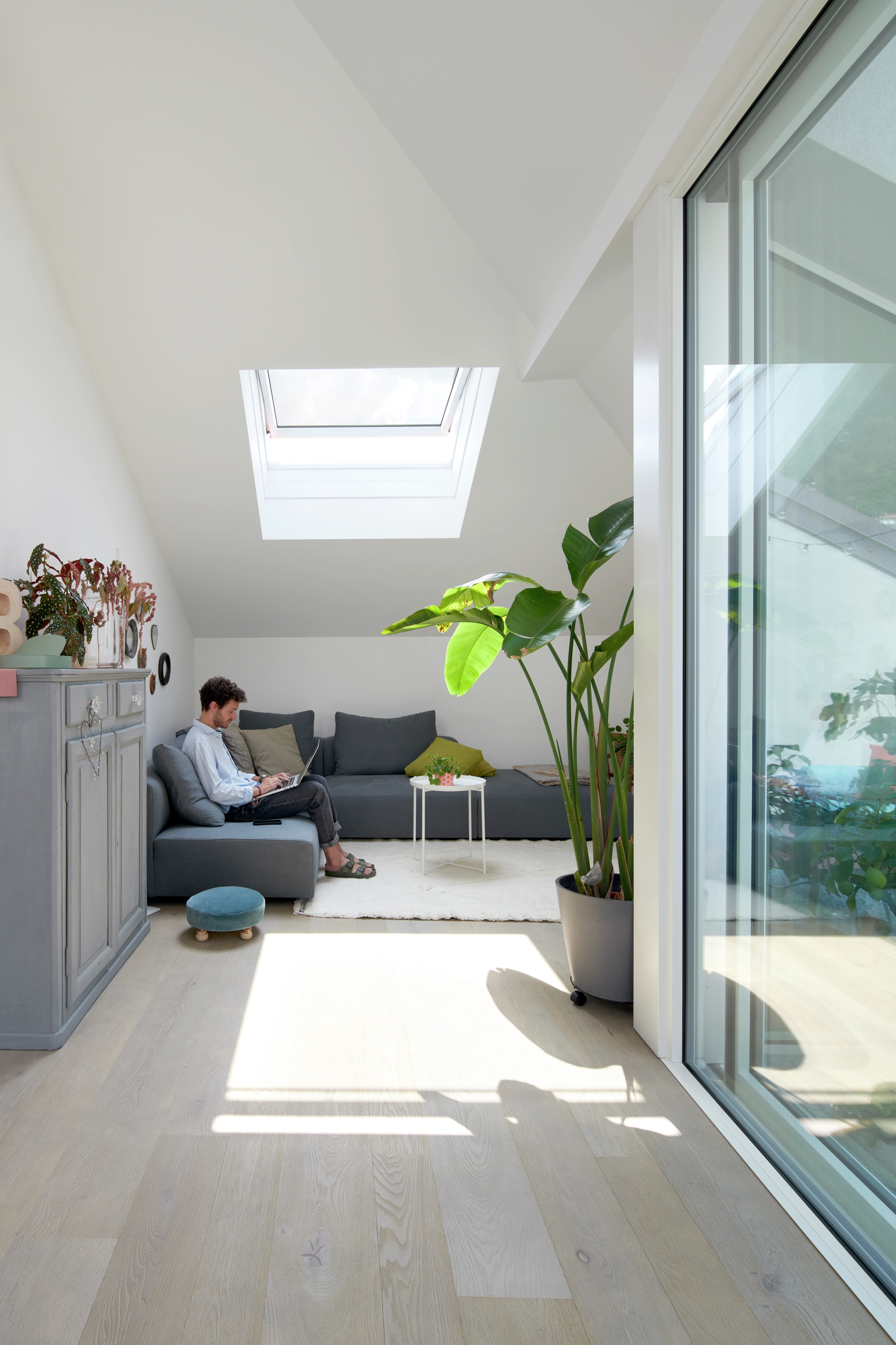 Salon moderne dans le comble avec fenêtre de toit VELUX, canapé gris et plantes vertes.