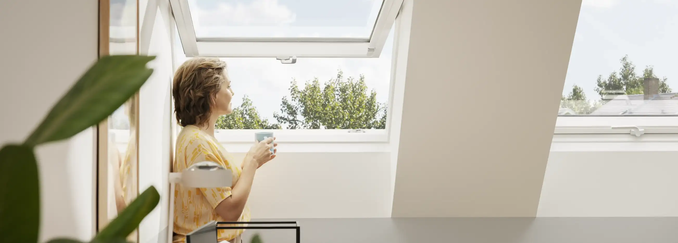 Attic room with open VELUX roof window, natural light and indoor plants.