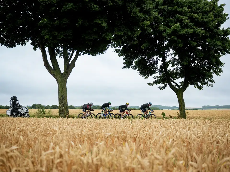 Kolesarji dirijo skozi pšenično polje z drevesi in motoristično kamero med Tour de France.