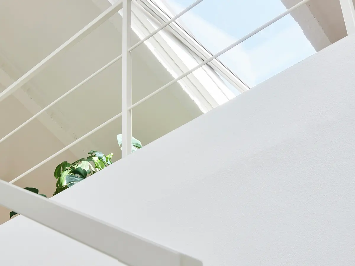Scala moderna con finestra per tetti VELUX e piante da interno
