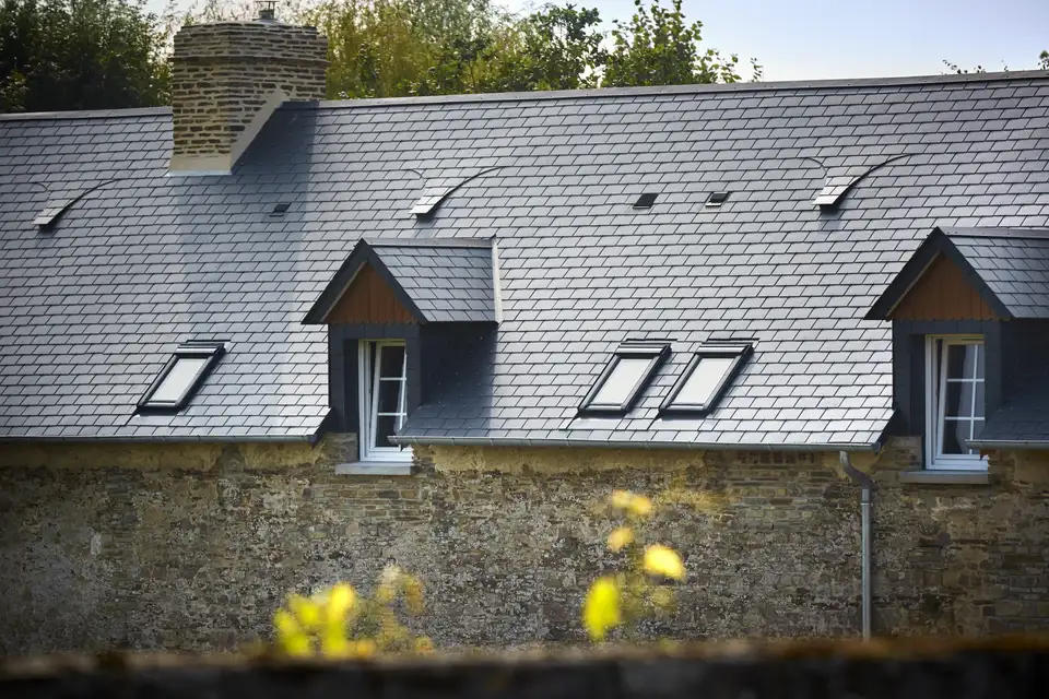 Dak van een huis met 2 dakkapellen en 3 dakvensters