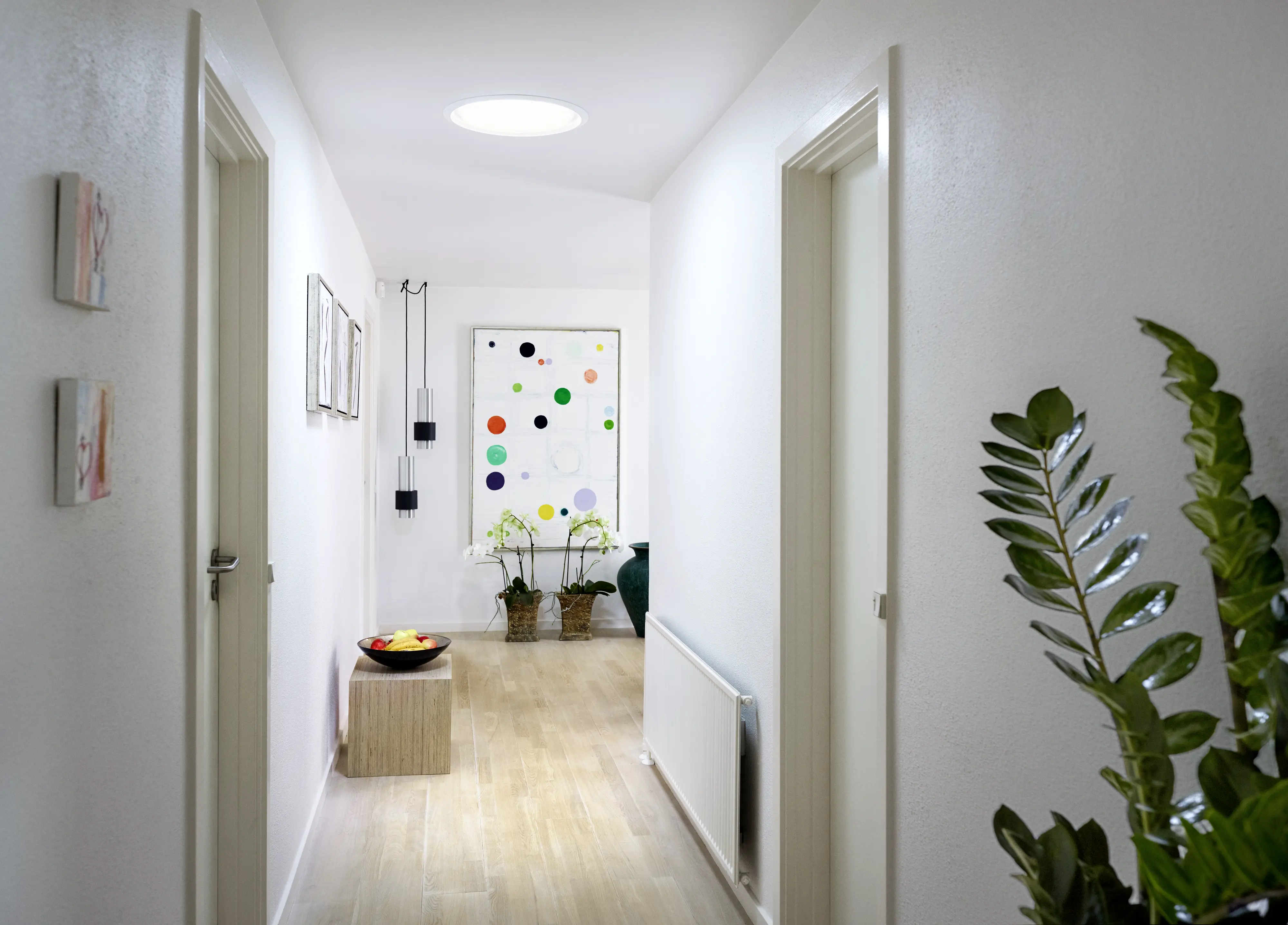Bright corridor with modern decor, featuring artwork and potted plants.
