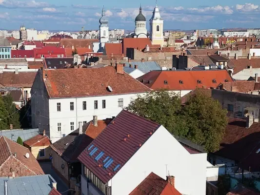 Luftaufnahme der Altstadt mit verschiedenen Dächern und einem VELUX Dachflächenfenster.
