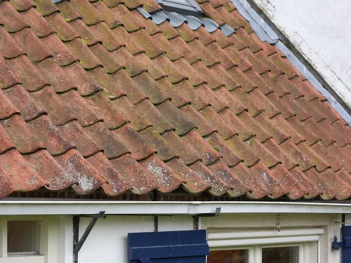 Nahaufnahme von verwitterten Terrakotta-Dachziegeln mit Moos auf einem Wohnhaus.