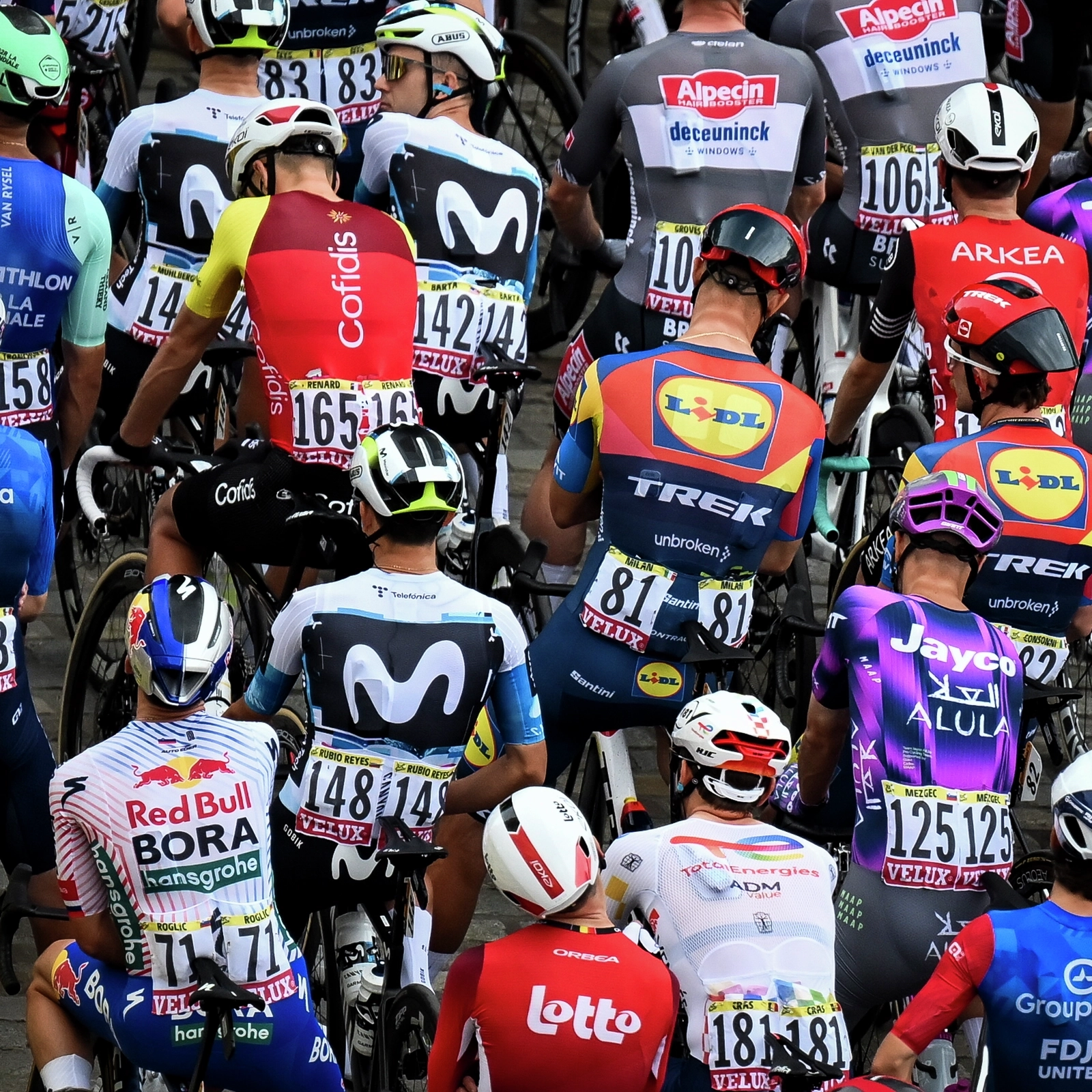 VELUX Gruppen hylder alle ryttere i årets Tour de France
