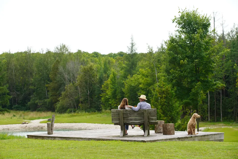 Paradise homes, the Ontario episode